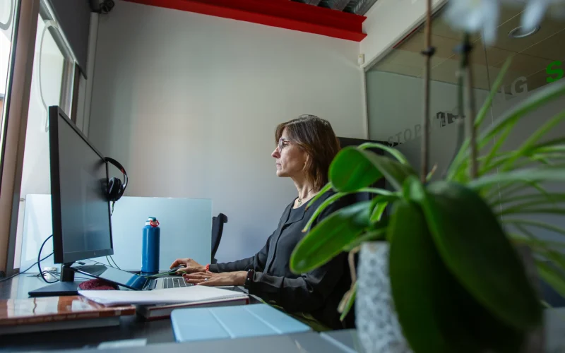 imagen palaucowork